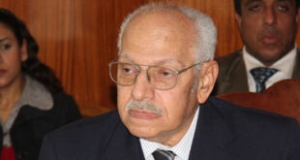 دور المحكمة الدستورية العليا في النظامين السياسي والقانوني في مصر*