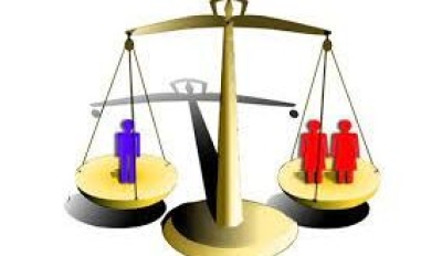 الجذور التاريخية لدعوى المساواة في الميراث*