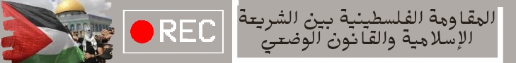 البانر العلوي